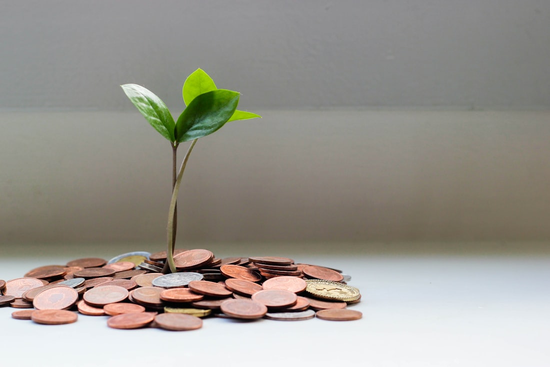 Crecimiento financiero